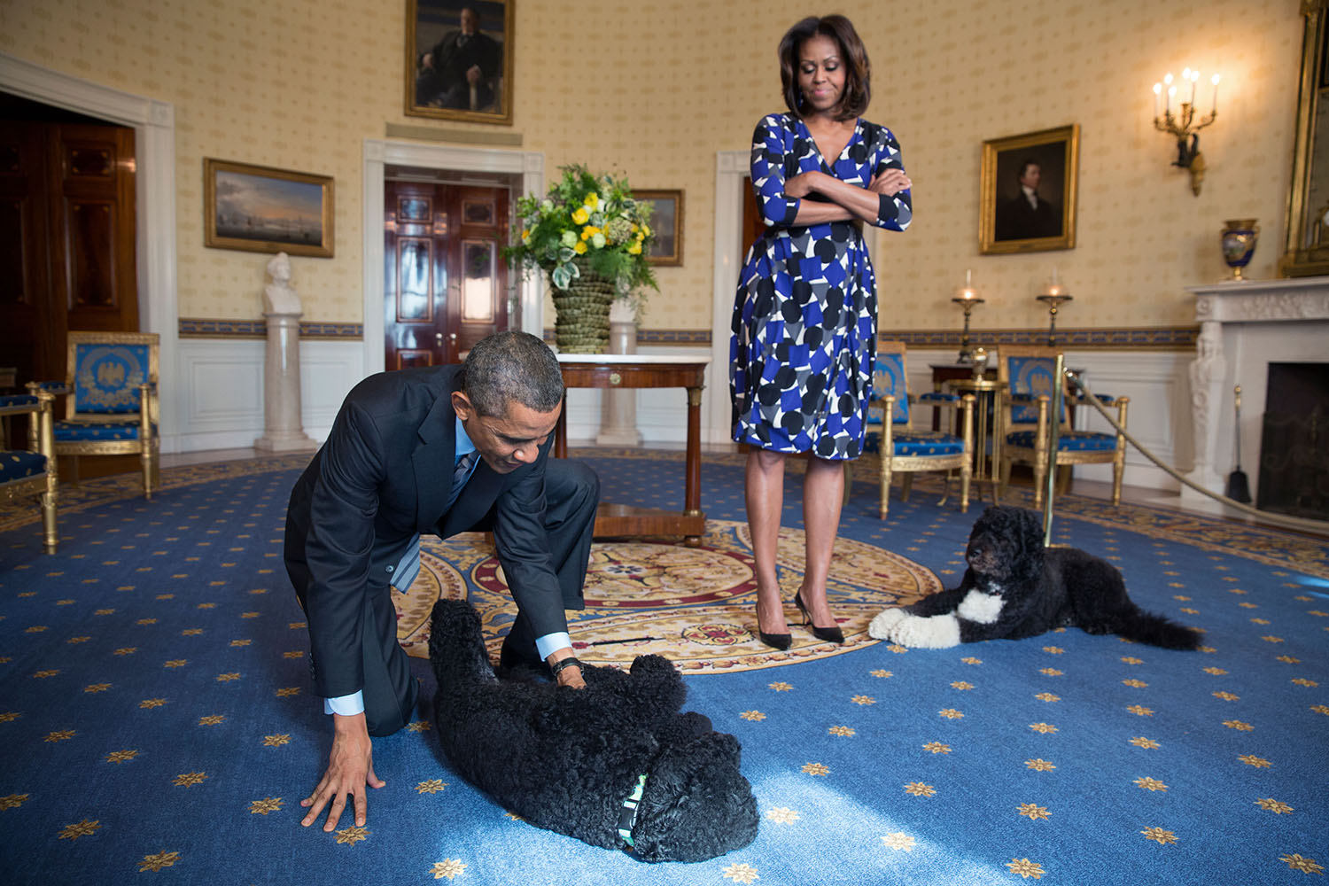 Photo from Nov 5, 2013