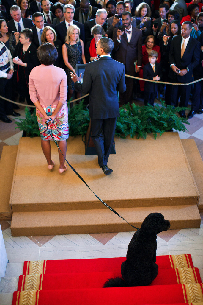 Photo from Dec 15, 2010